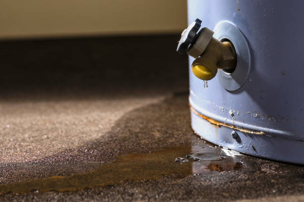 Best Flood damage cleanup  in Lyman, MS