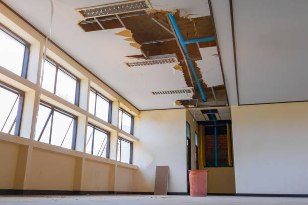  Lyman, MS Water damage restoration Pros