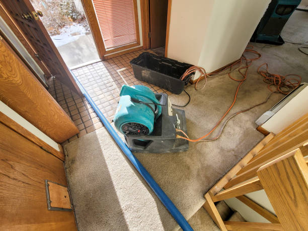 , MS Water damage restoration Company