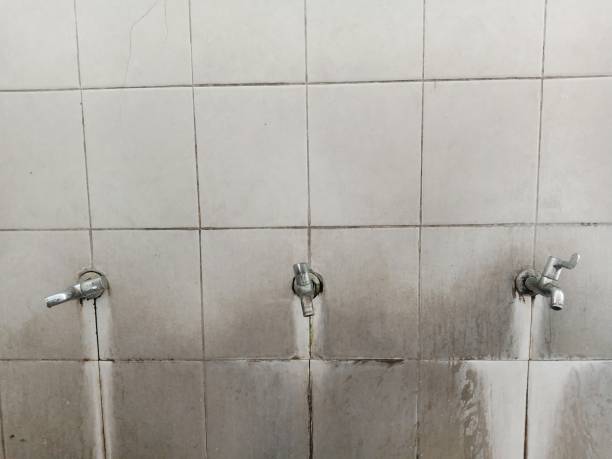 Best Emergency water extraction  in Lyman, MS