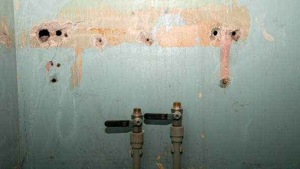 Best Sewage cleanup and water damage restoration  in Lyman, MS