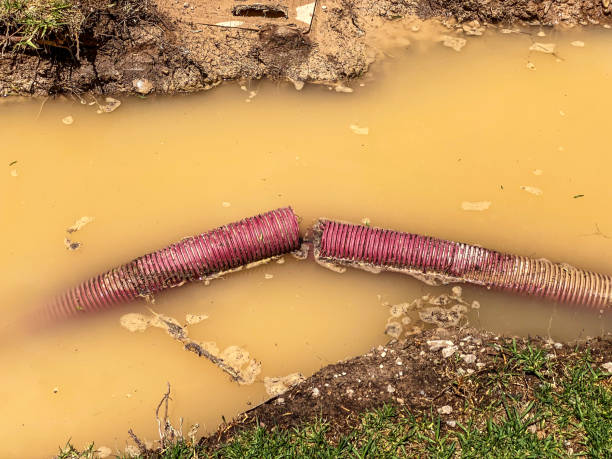 Best 24-hour water damage restoration  in Lyman, MS